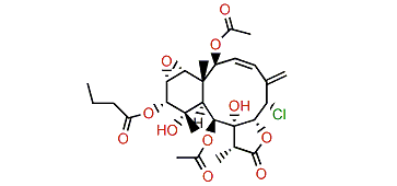 11-Hydroxybrianthein U